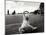 Coney Island Dog, NY, 2006-null-Mounted Photographic Print