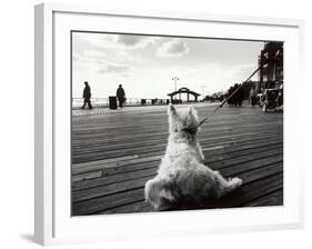 Coney Island Dog, NY, 2006-null-Framed Photographic Print