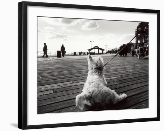 Coney Island Dog, NY, 2006-null-Framed Photographic Print