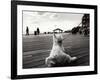 Coney Island Dog, NY, 2006-null-Framed Photographic Print