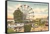 Coney Island Ferris Wheel, Cincinnati, Ohio-null-Framed Stretched Canvas