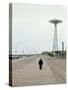 Coney Island I, 1989-Max Ferguson-Stretched Canvas