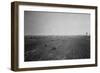 Coney Island Rail Yard for the Brooklyn-Manhattan Transit-null-Framed Photographic Print