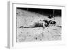 Coney Island: Sleeping-null-Framed Giclee Print