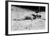 Coney Island: Sleeping-null-Framed Giclee Print