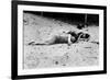 Coney Island: Sleeping-null-Framed Giclee Print