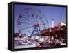 Coney or Rabbit Island-Carol Highsmith-Framed Stretched Canvas