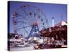 Coney or Rabbit Island-Carol Highsmith-Stretched Canvas