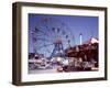 Coney or Rabbit Island-Carol Highsmith-Framed Photo