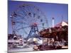 Coney or Rabbit Island-Carol Highsmith-Mounted Photo