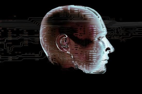 Photographic Print, , large