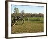 Confederate Artillery Aimed at Peach Orchard Next to Manse George's Cabin-null-Framed Photographic Print