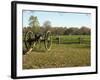 Confederate Artillery Aimed at Peach Orchard Next to Manse George's Cabin-null-Framed Photographic Print