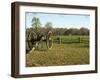 Confederate Artillery Aimed at Peach Orchard Next to Manse George's Cabin-null-Framed Photographic Print