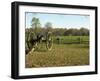 Confederate Artillery Aimed at Peach Orchard Next to Manse George's Cabin-null-Framed Photographic Print