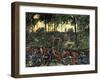 Confederate Infantry Waiting Out an Artillery Duel in the Devil's Den, Battle of Gettysburg-null-Framed Giclee Print
