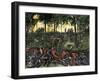 Confederate Infantry Waiting Out an Artillery Duel in the Devil's Den, Battle of Gettysburg-null-Framed Giclee Print