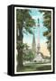 Confederate Monument, Raleigh, North Carolina-null-Framed Stretched Canvas