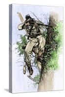 Confederate Sharpshooter Taking Aim from His Perch in a Tree, American Civil War-null-Stretched Canvas
