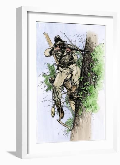 Confederate Sharpshooter Taking Aim from His Perch in a Tree, American Civil War-null-Framed Giclee Print