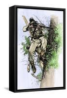 Confederate Sharpshooter Taking Aim from His Perch in a Tree, American Civil War-null-Framed Stretched Canvas