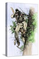 Confederate Sharpshooter Taking Aim from His Perch in a Tree, American Civil War-null-Stretched Canvas