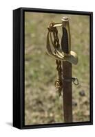 Confederate Sword, Shiloh National Military Park, Tennessee-null-Framed Stretched Canvas