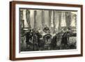 Brown Frame