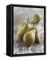 Conference Pears-Kai Schwabe-Framed Stretched Canvas