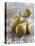 Conference Pears-Kai Schwabe-Stretched Canvas