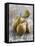 Conference Pears-Kai Schwabe-Framed Stretched Canvas