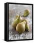 Conference Pears-Kai Schwabe-Framed Stretched Canvas