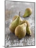 Conference Pears-Kai Schwabe-Mounted Photographic Print