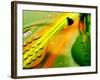 Conference Phone and Computer Mouse-null-Framed Photographic Print