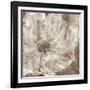 Confetti Bloom I-Philip Brown-Framed Giclee Print