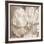 Confetti Bloom II-Philip Brown-Framed Giclee Print