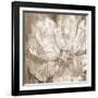 Confetti Bloom II-Philip Brown-Framed Giclee Print