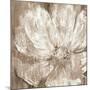 Confetti Bloom II-Philip Brown-Mounted Giclee Print