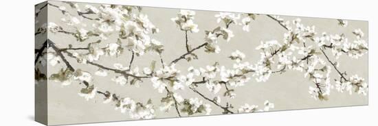Confetti Blossom-Tania Bello-Stretched Canvas