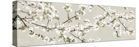 Confetti Blossom-Tania Bello-Stretched Canvas