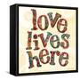 Confetti - Love Lives Here 3-Robbin Rawlings-Framed Stretched Canvas