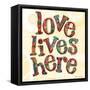 Confetti - Love Lives Here 3-Robbin Rawlings-Framed Stretched Canvas