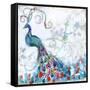 Confetti Peacock II-Jennifer Goldberger-Framed Stretched Canvas