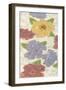 Confetti Poppies II-Karen Deans-Framed Art Print