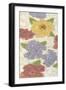 Confetti Poppies II-Karen Deans-Framed Art Print