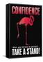 Confidence-null-Framed Stretched Canvas