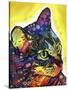 Confident Cat-Dean Russo-Stretched Canvas