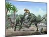 Conflict Between Two Male Altirhinus Kurzanovi Dinosaurs-null-Mounted Art Print