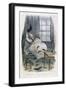 Confounded Rat, Col-null-Framed Art Print