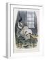 Confounded Rat, Col-null-Framed Art Print